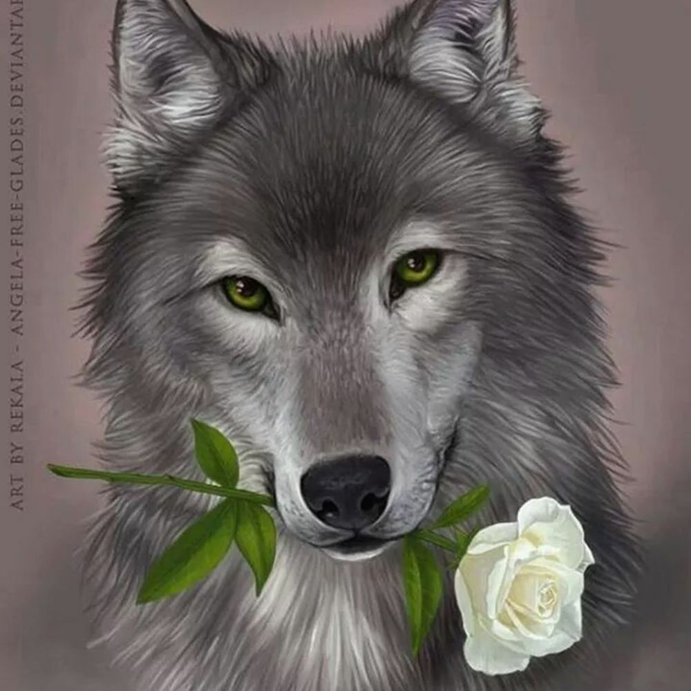 Meet your Posher, Judi